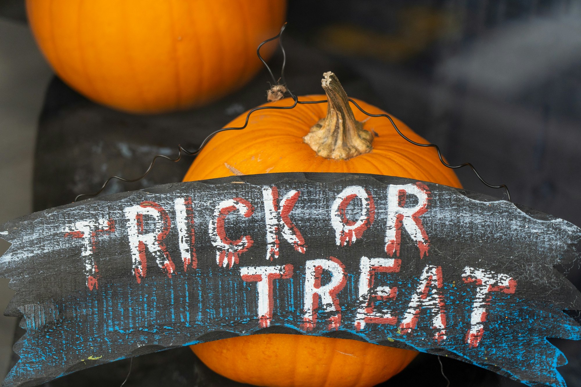 Trick or Treat display Photo by Nick Fewings on Unsplash